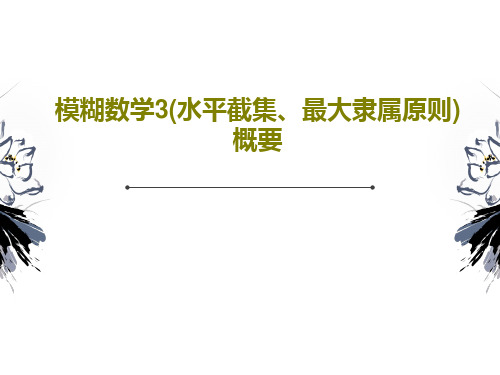 模糊数学3(水平截集、最大隶属原则)概要共25页文档