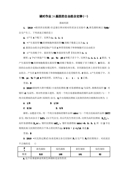 2021高考生物一轮复习课时作业20基因的自由组合定律一含解析