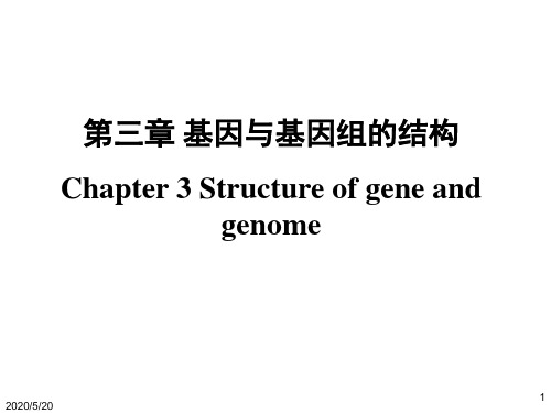 第三章 基因与基因组的结构