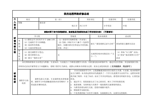 2013年国培网络研修总结模版(胡敏)