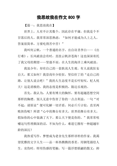我思故我在作文800字