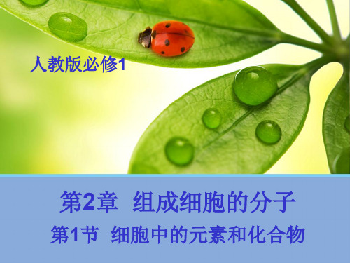 人教版高中必修一生物课件:2.1细胞中的元素与化合物 (共40张PPT)