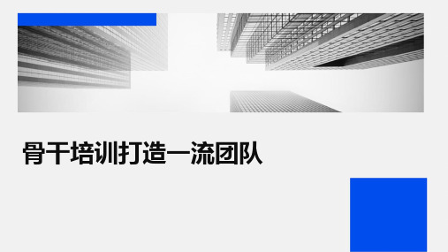 骨干培训打造一流团队最终板