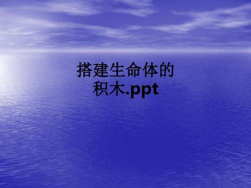 搭建生命体的积木.ppt课件