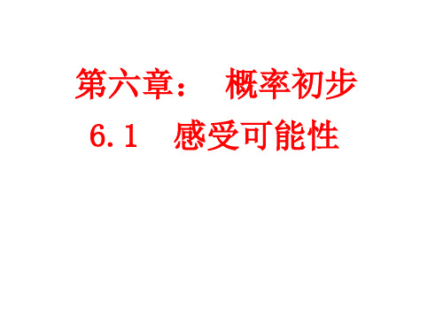 6.1感受可能性学案课件PPT免费下载