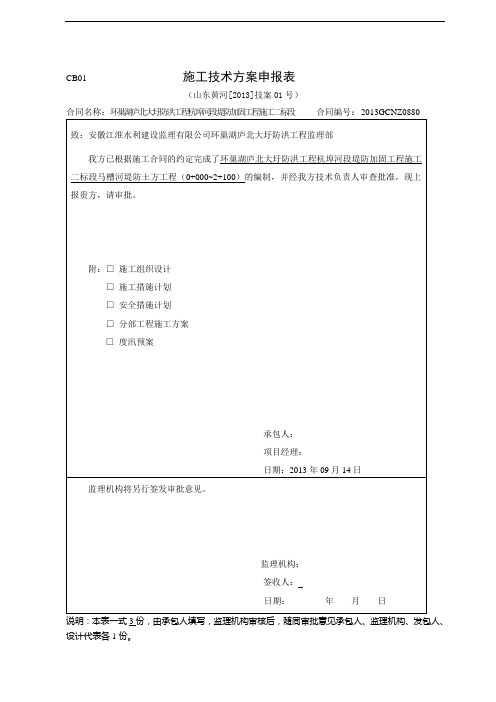 CB01施工技术与方案申报表01