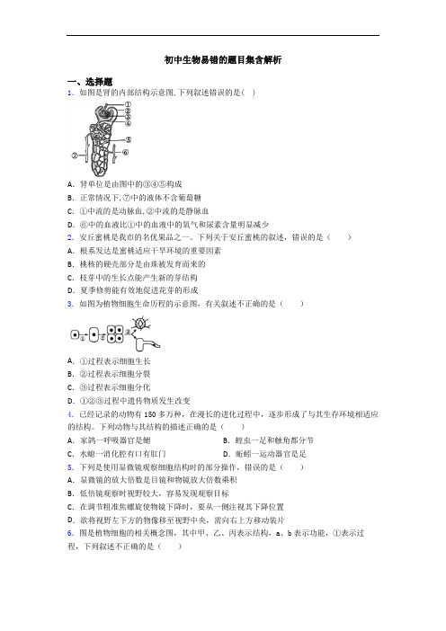 初中生物易错的题目集含解析