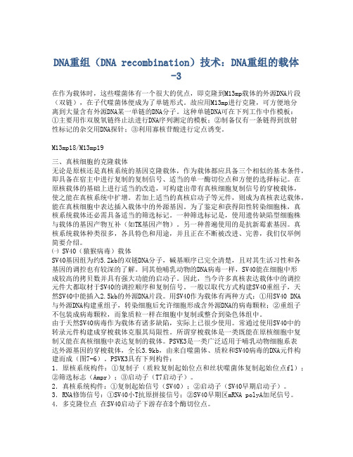 DNA重组(DNA recombination)技术：DNA重组的载体-3