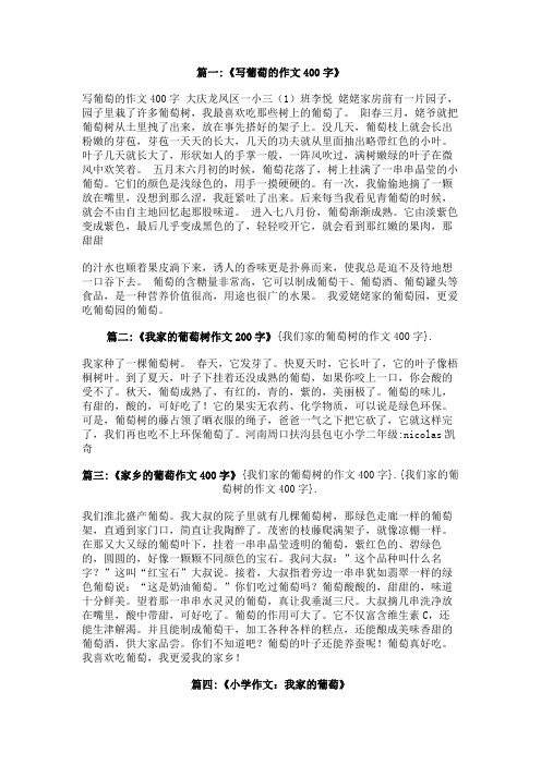 我们家的葡萄树的作文400字