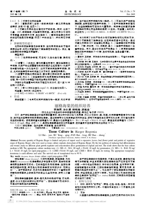 丽格海棠的组织培养