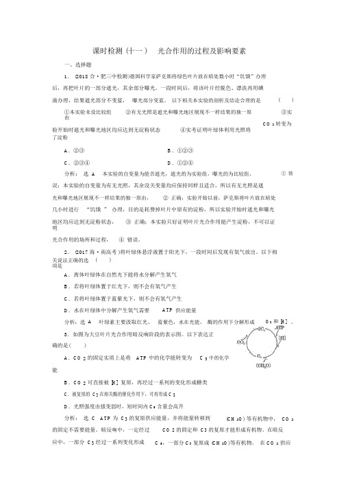 2019届高考全国卷人教版生物一轮复习(十一)光合作用的过程及影响因素解析版