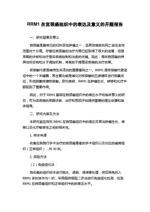 RRM1在宫颈癌组织中的表达及意义的开题报告