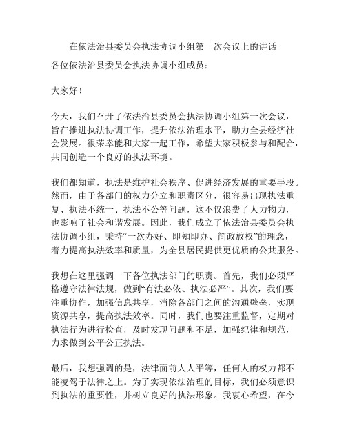 在依法治县委员会执法协调小组第一次会议上的讲话