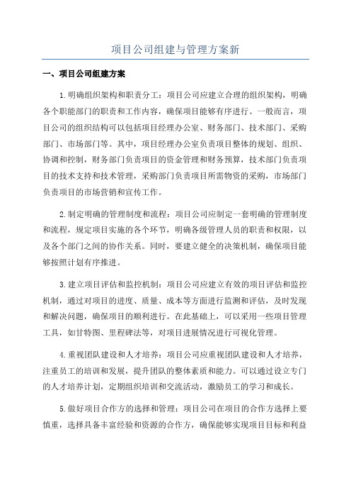 项目公司组建与管理方案新