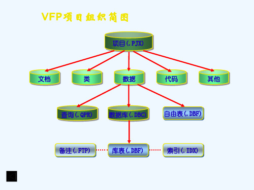 VFP实验指导