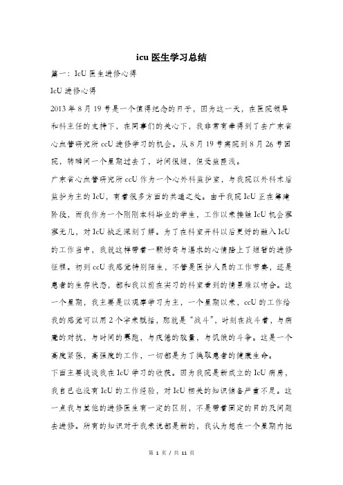 icu医生学习总结.doc