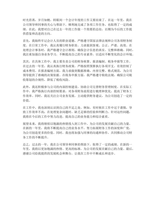 城投公司会计个人工作总结怎么说