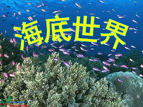 《海底世界》PPT之一课件(苏教版三年级语文下册课件).ppt