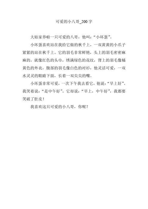 可爱的小八哥_200字