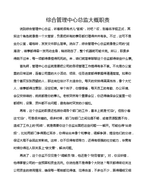 综合管理中心总监大概职责