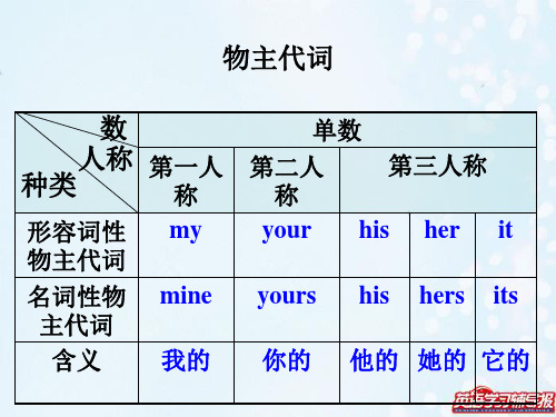 物主代词讲解及练习