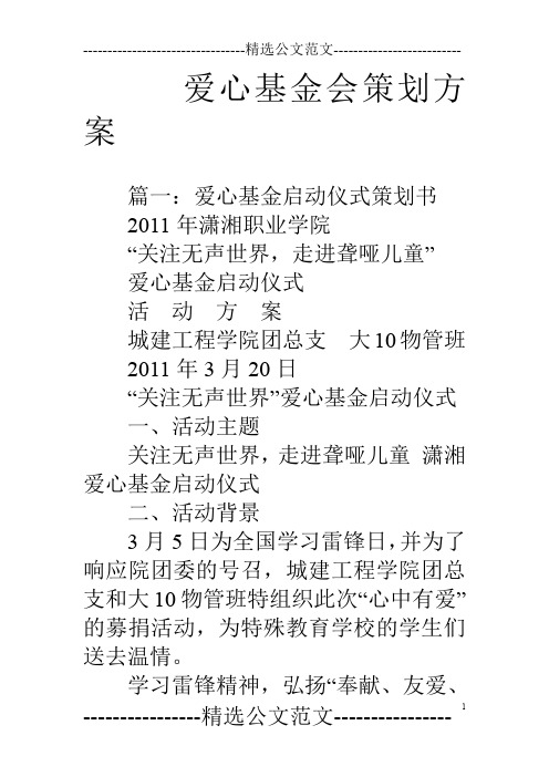 爱心基金会策划方案