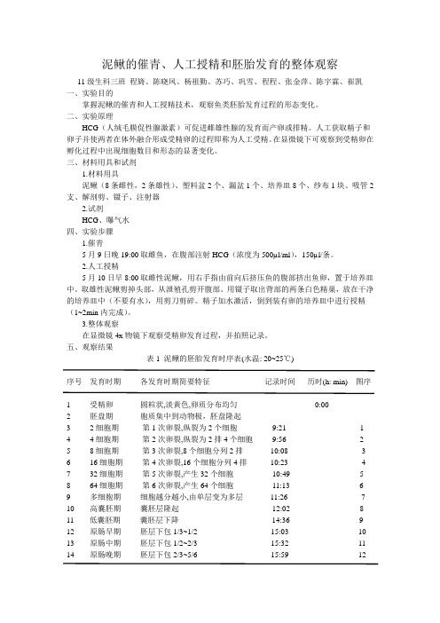 泥鳅实验报告