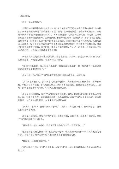 《口哨》沪教版六上 教案