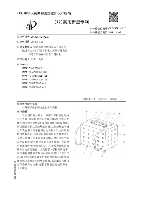 【CN209592148U】一种用于保护锂电池的专用壳体【专利】