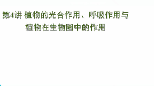 中考生物植物的光合作用、呼吸作用与植物在生物圈中的作用知识点课件