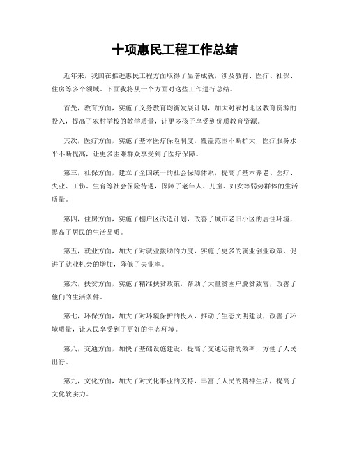 十项惠民工程工作总结