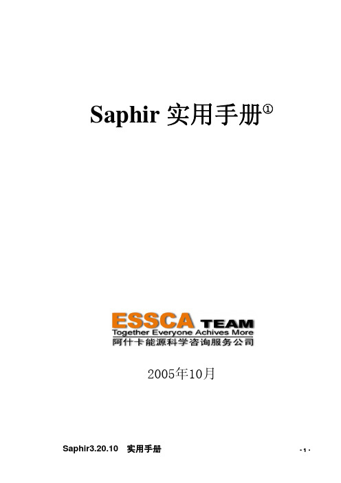 Saphir实用手册初级(优选.)