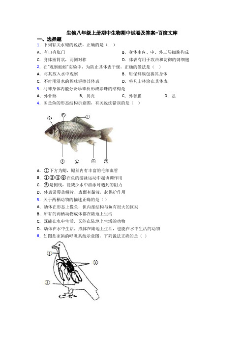 生物八年级上册期中生物期中试卷及答案-百度文库