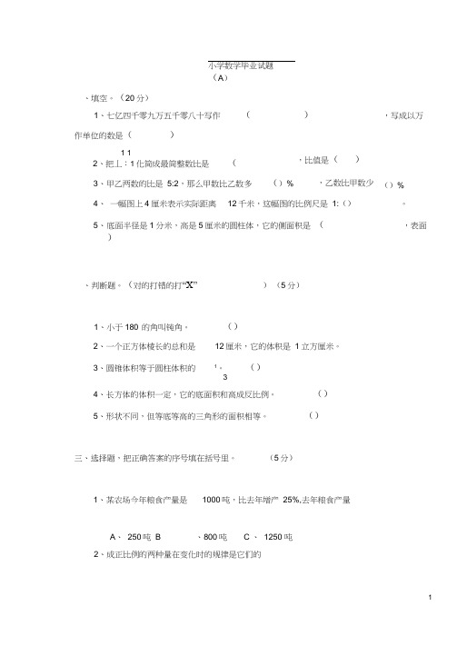 2013年小学数学毕业考试试题(A)及参考答案(1)