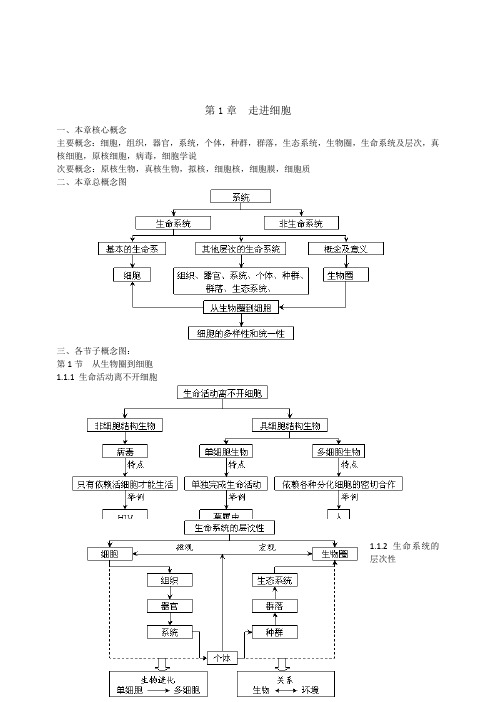 高一生物必修1概念知识点总结