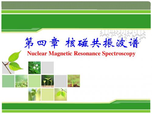 有机波谱分析 第四章 核磁共振波谱