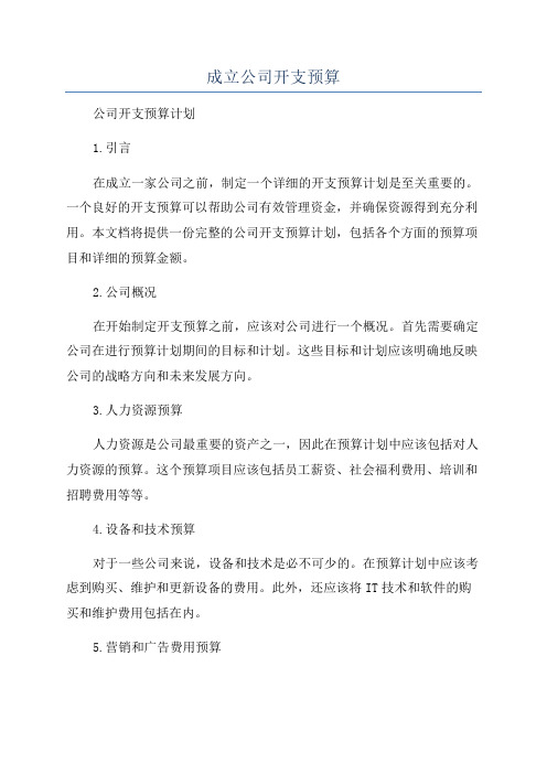 成立公司开支预算