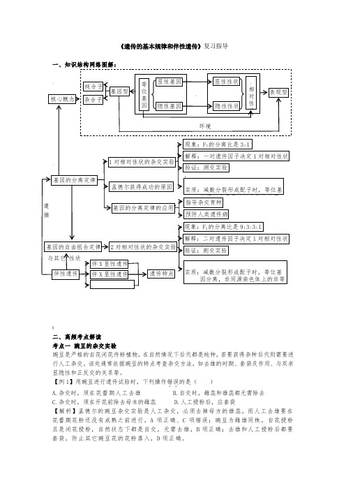 《遗传的基本规律和伴性遗传》复习指导