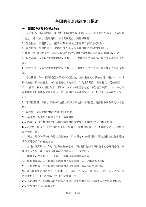 高中生物 基因的分离规律复习提纲