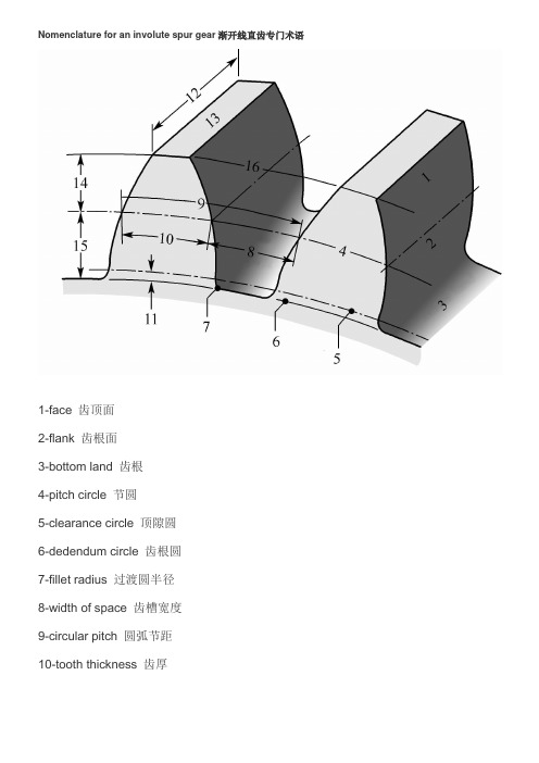 齿轮专业词汇