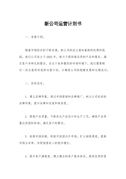 新公司运营计划书