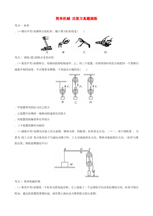 2019届中考物理第九章简单机械功复习真题演练