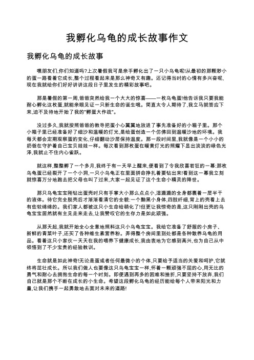 我孵化乌龟的成长故事作文