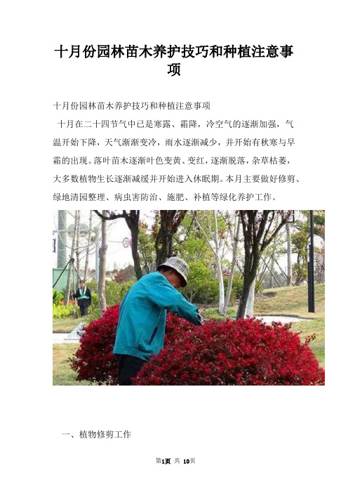 十月份园林苗木养护技巧和种植注意事项