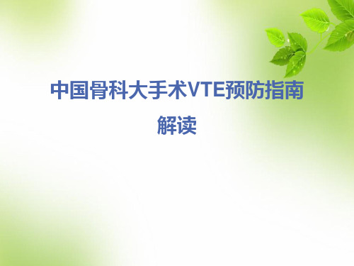 中国骨科大手术VTE预防指南解读 PPT