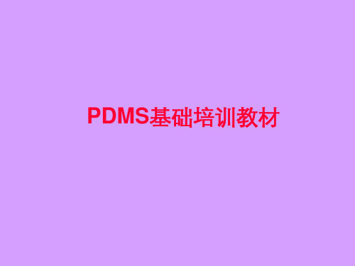 PDMS基础培训教材