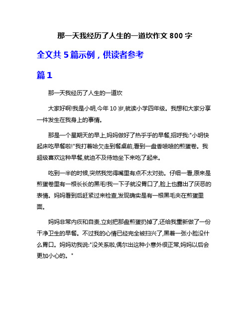 那一天我经历了人生的一道坎作文800字