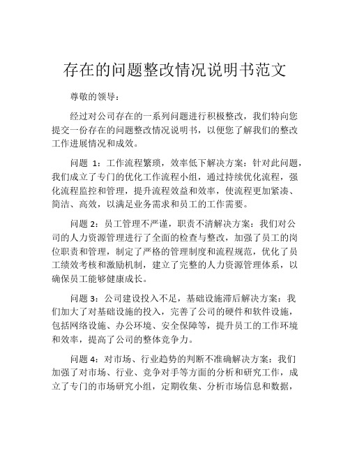 存在的问题整改情况说明书范文