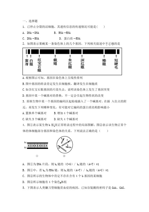 人教版 基因的表达 单元测试