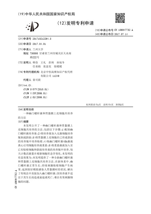 一种幽门螺杆菌和胃黏膜上皮细胞共培养的方法[发明专利]